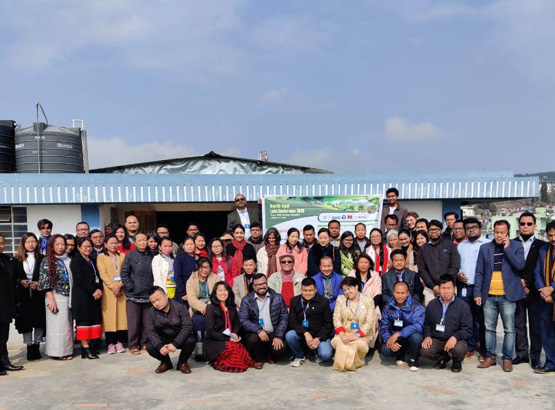 NELC group